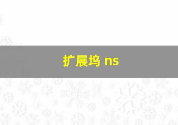 扩展坞 ns